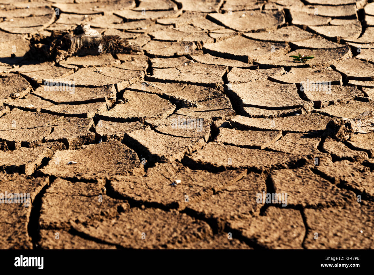 Cracks in drought affected earth Stock Photo Alamy