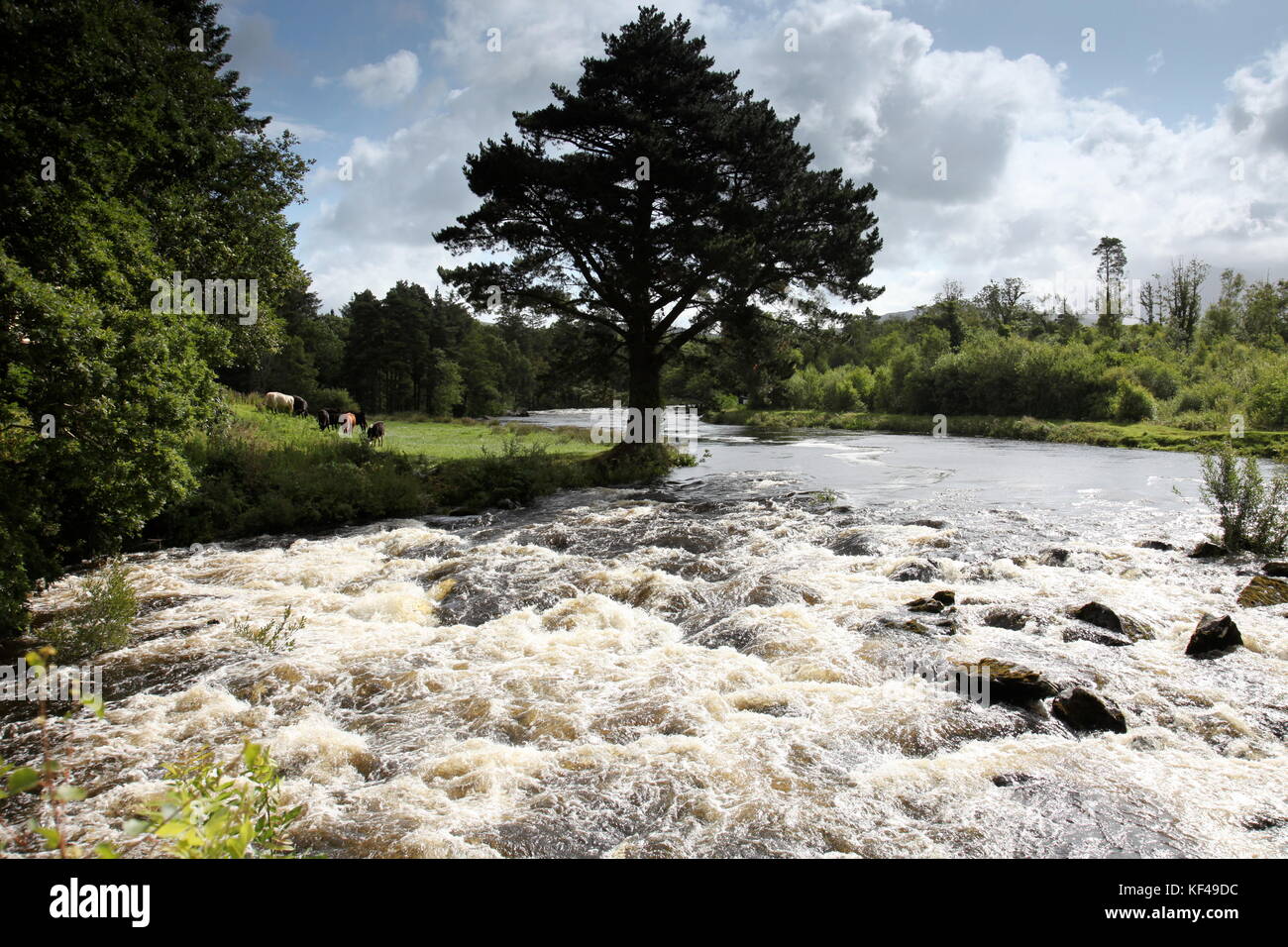 River in Ireland Stock Photo Alamy