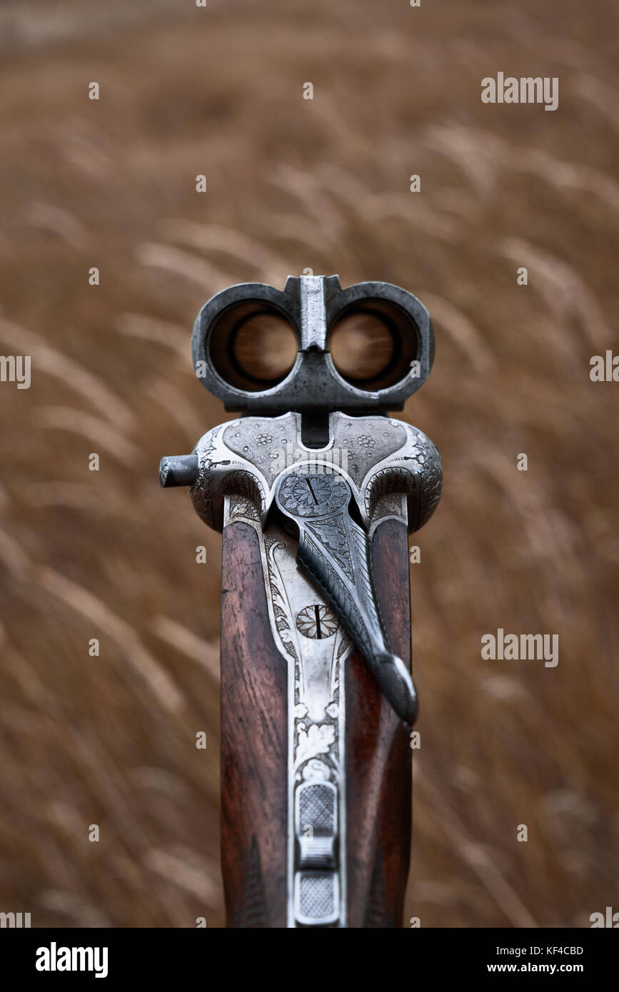 An old horizontal double-barrel in the autumn field Stock Photo