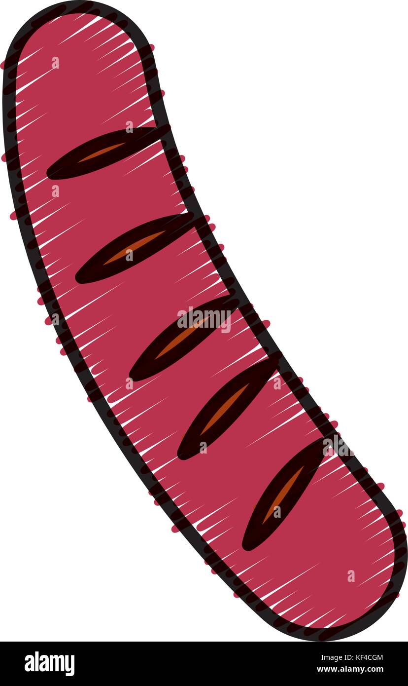 Sausage delicious food Stock Vector Image & Art Alamy