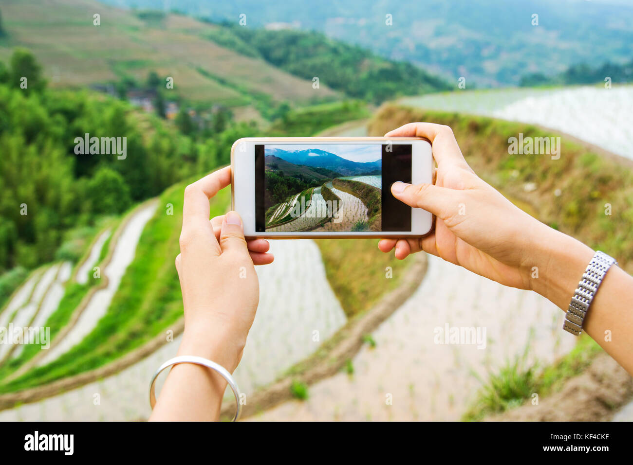 Girl capturing rice terrace scenery with a smart phone Stock Photo