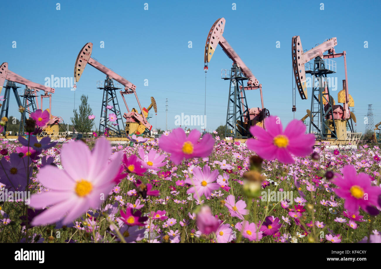 Oilfields of Daqing,Heilongjiang Province,China Stock Photo