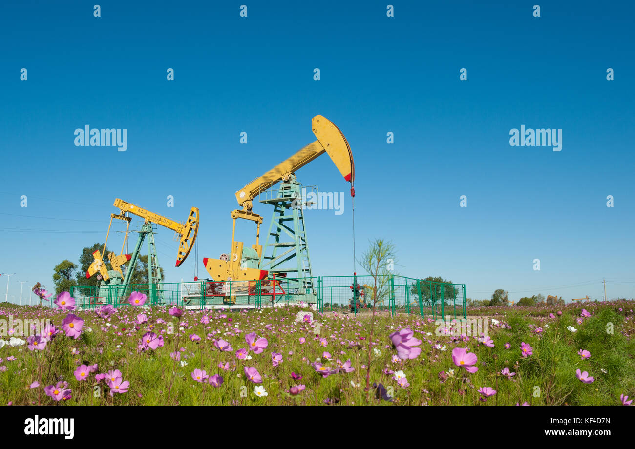 Oilfields of Daqing,Heilongjiang Province,China Stock Photo