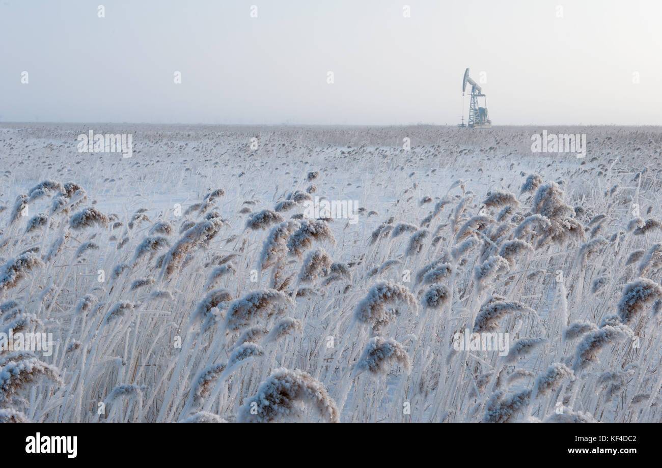 Oilfields of Daqing,Heilongjiang Province,China Stock Photo