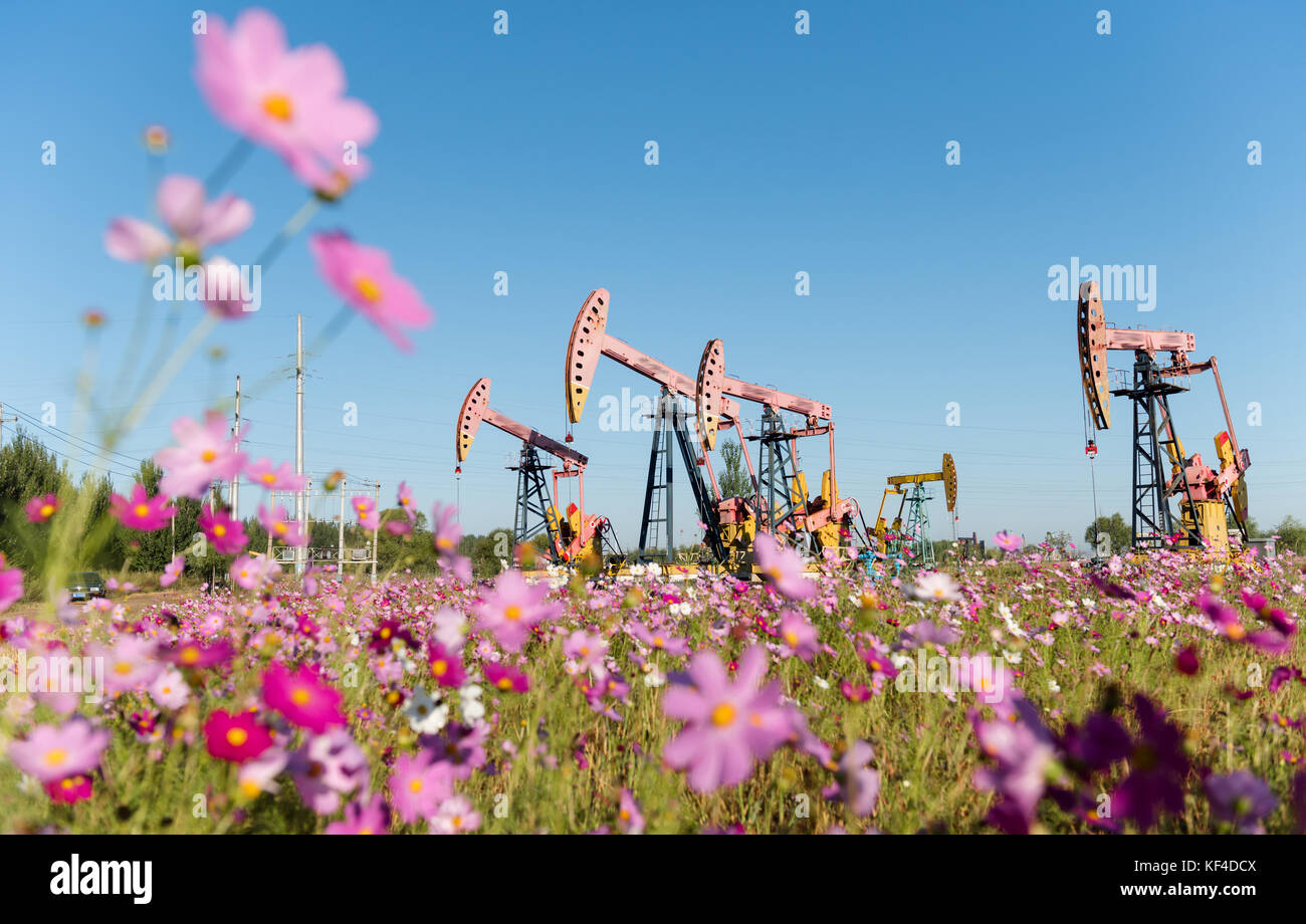 Oilfields of Daqing,Heilongjiang Province,China Stock Photo