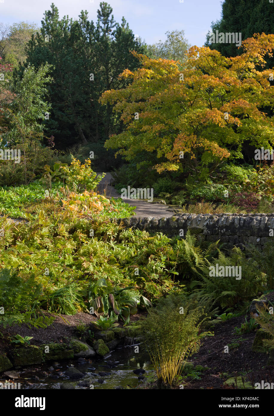 Autumn at Harlow Carr Gardens Stock Photo