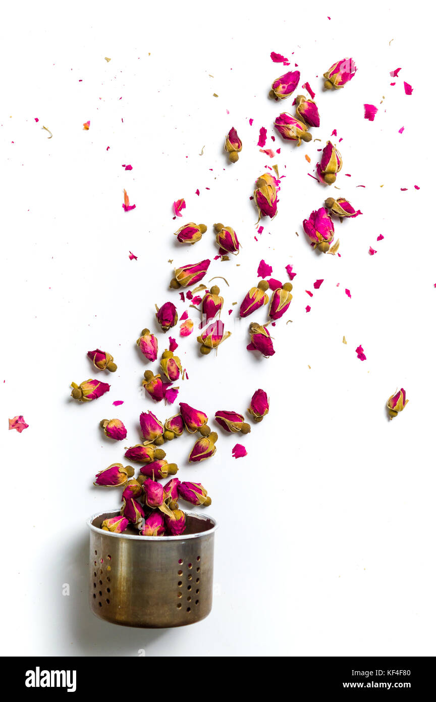 Rose tea flowers flying out of kettle colander on white background Stock Photo
