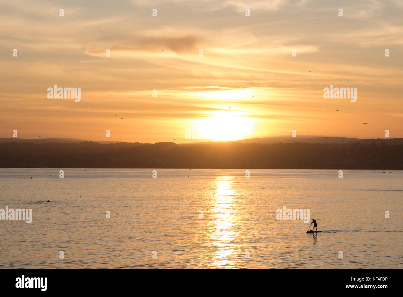Paddle boarder at sunset in Cornwall, Uk Stock Photo