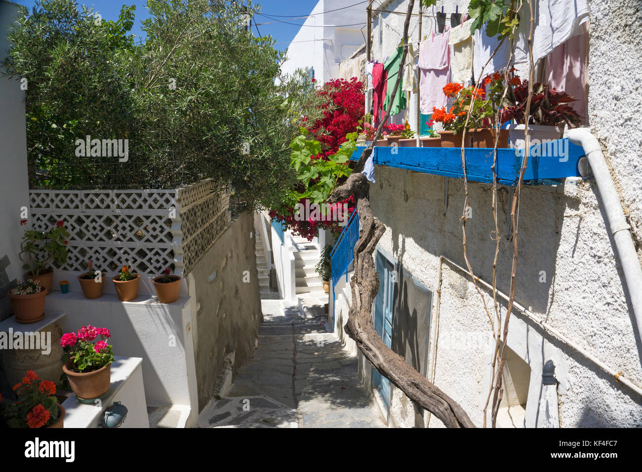 Typical aegean houses, flower decorated, Naxos-town, Naxos, Cyclades, Aegean, Greece Stock Photo