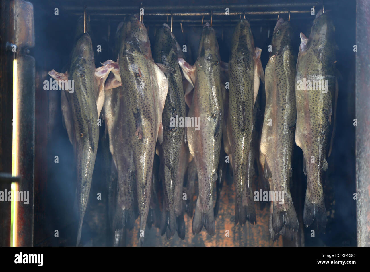 Smoking of fish / The process of smoking fish Stock Photo Alamy