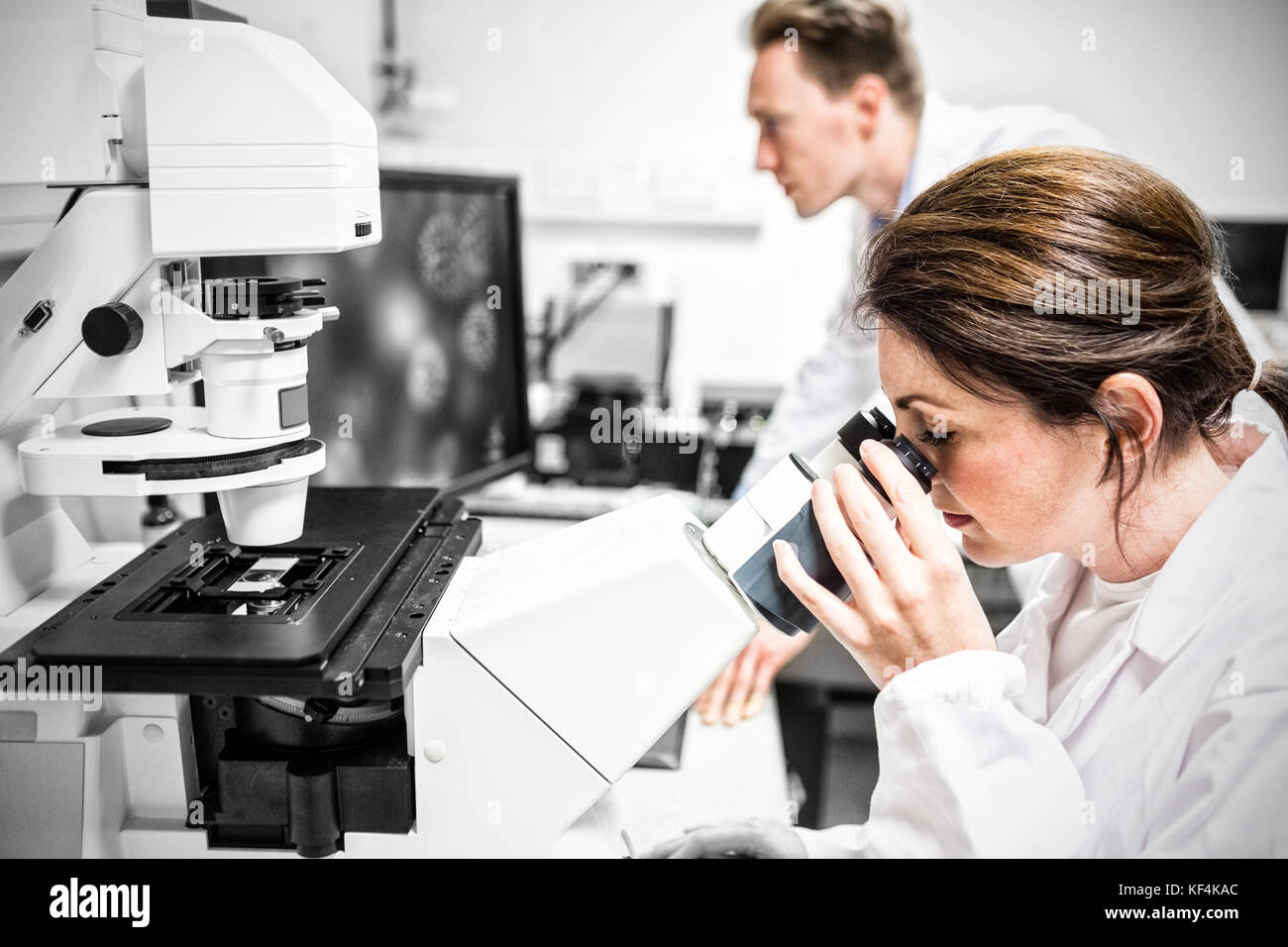 Scientist working on microscope in laboratory Stock Photo - Alamy
