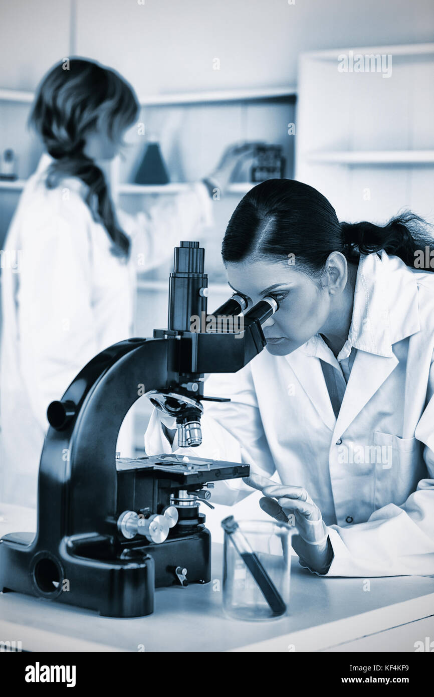 Scientist working in laboratory on microscope Stock Photo Alamy