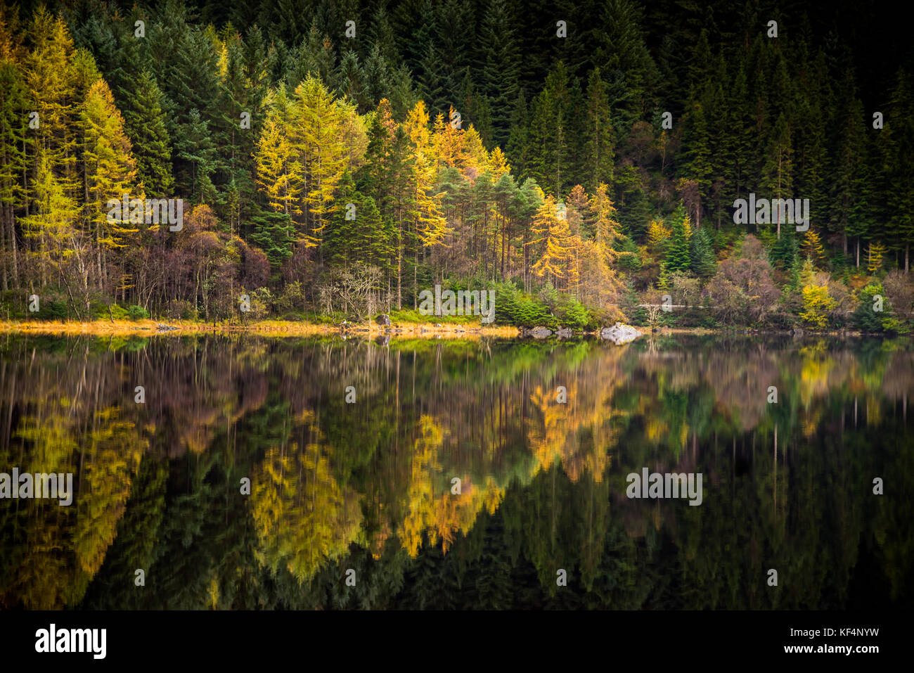 Autumn reflections in the water of a lake in Scotland Stock Photo - Alamy