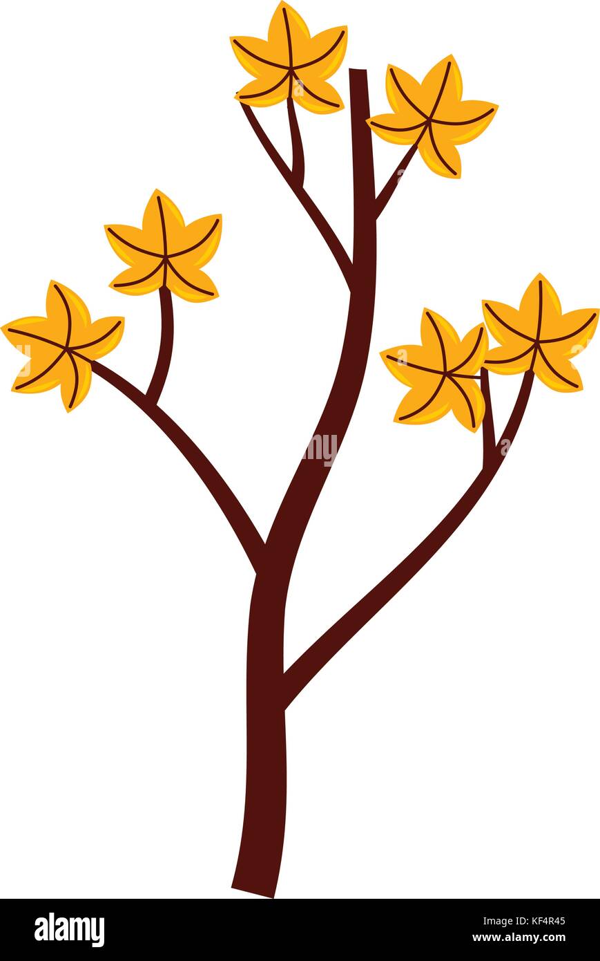 autumn branch of tree and leaves seasonal Stock Vector Image & Art - Alamy