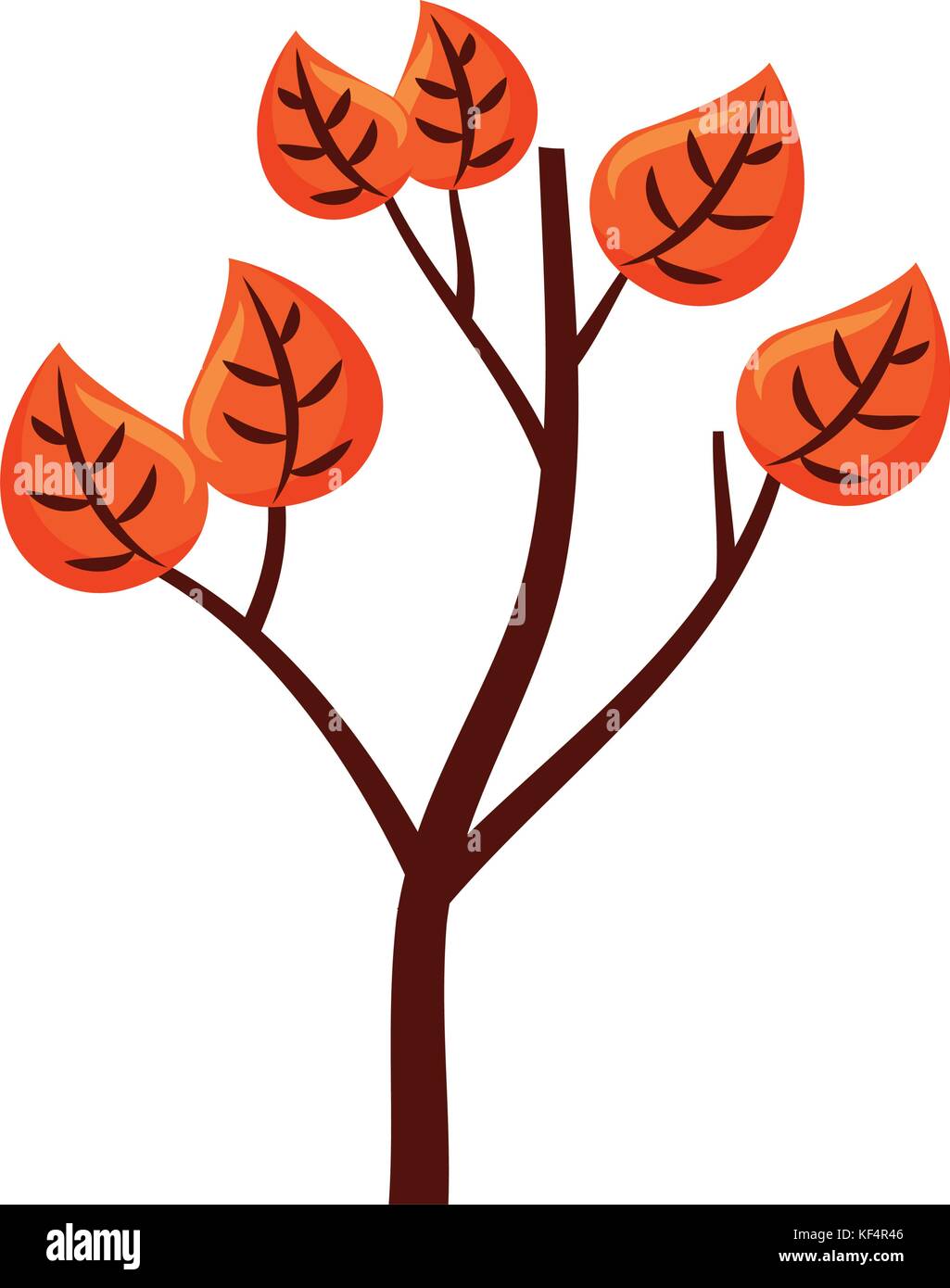 autumn branch of tree and leaves seasonal Stock Vector Image & Art - Alamy