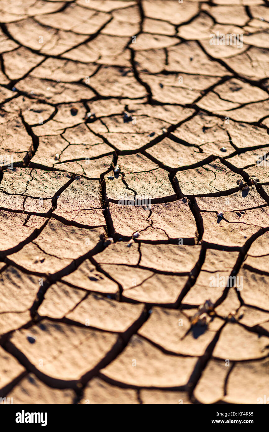 Cracks in drought affected earth Stock Photo Alamy