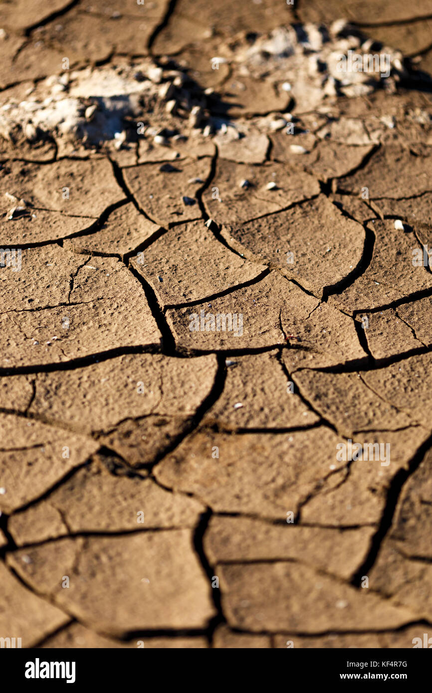 Cracks in drought affected earth Stock Photo Alamy