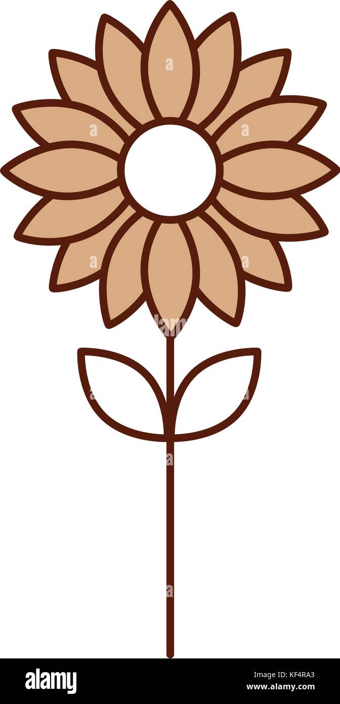 flower petal floral decoration nature Stock Vector Image & Art - Alamy