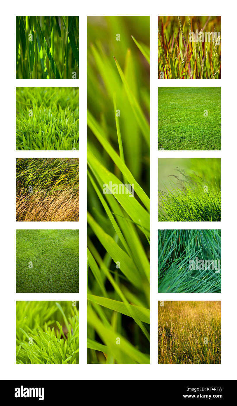 Green and grass images on a collage Stock Photo