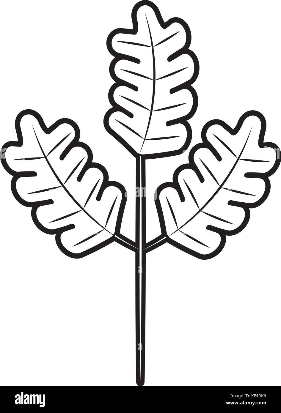 autumn branch of tree and leaves seasonal Stock Vector Image & Art - Alamy