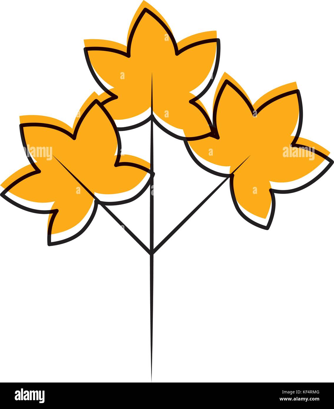 autumn branch of tree and leaves seasonal Stock Vector Image & Art - Alamy