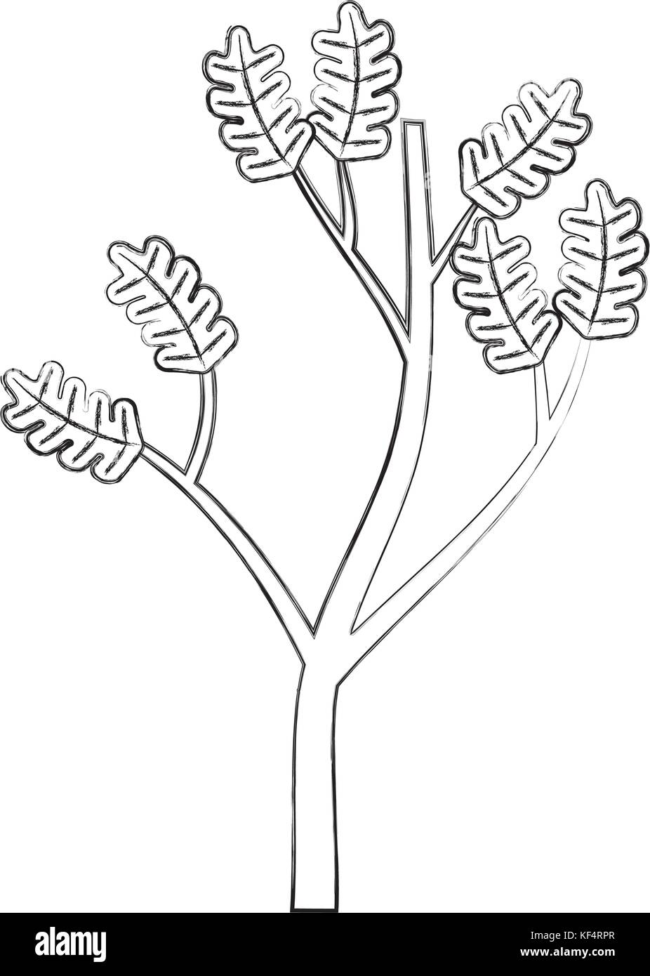 autumn branch of tree and leaves seasonal Stock Vector Image & Art - Alamy