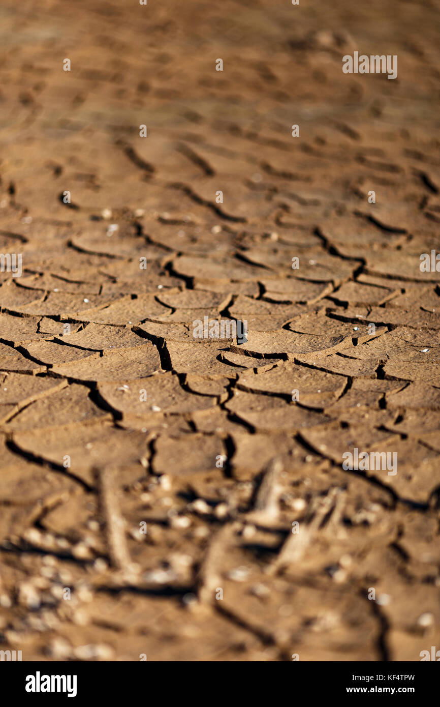 Cracks in drought affected earth Stock Photo Alamy