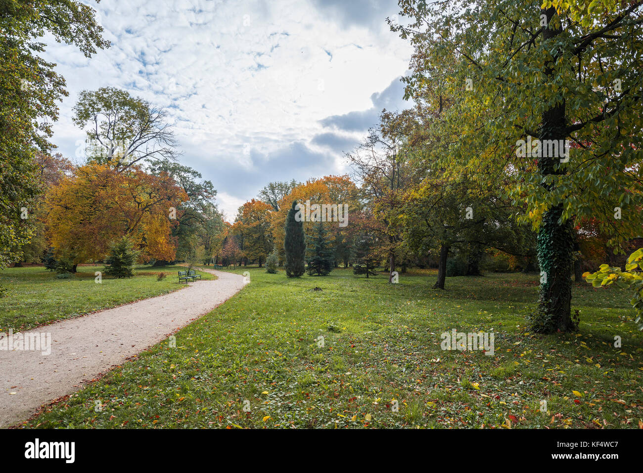 Park in fall with benches and yellow leaves Stock Photo - Alamy