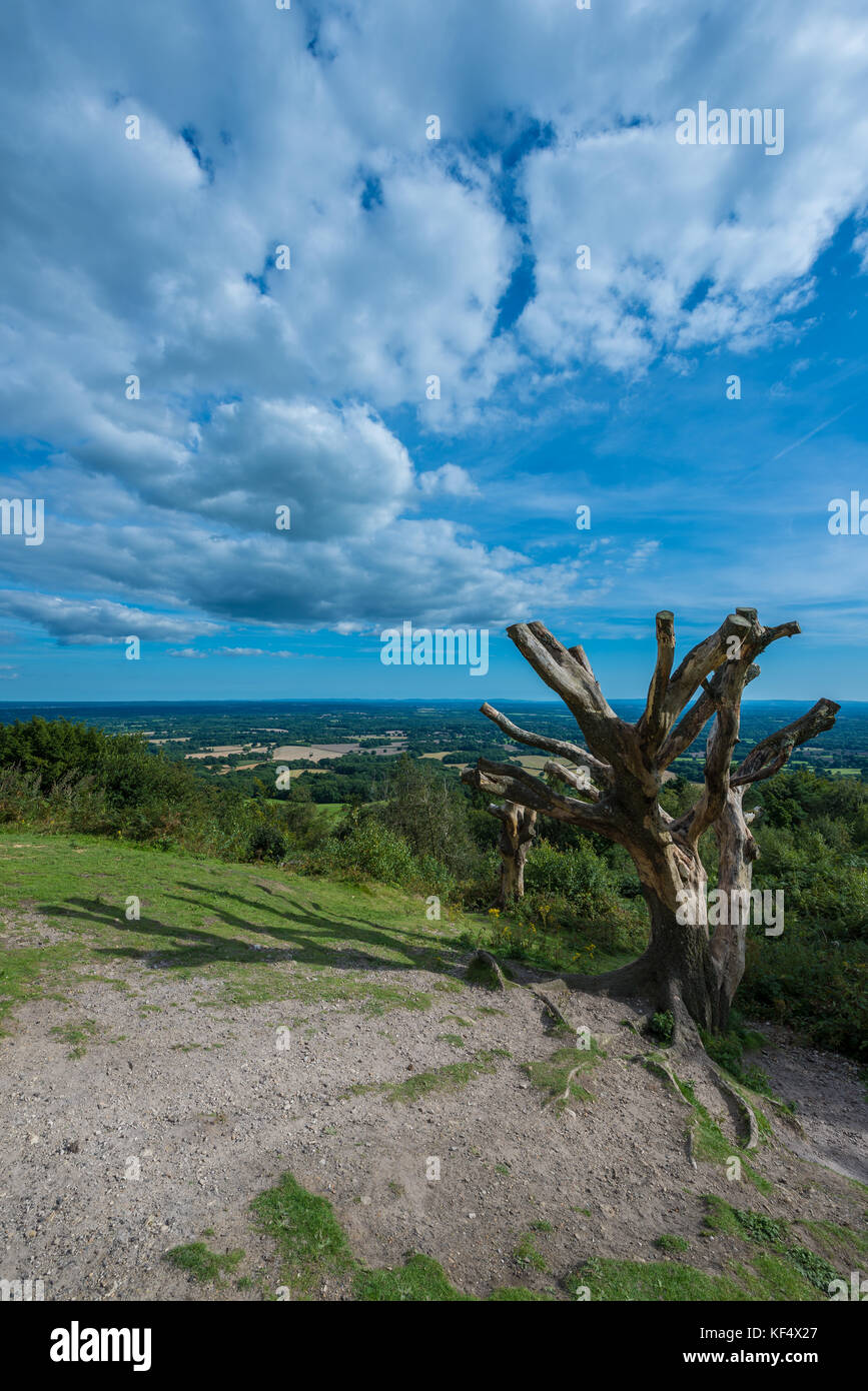 Views across Surrey Hills, Area of Outstanding Natural Beauty in Surrey from Leith Hill,  United Kingdom Stock Photo