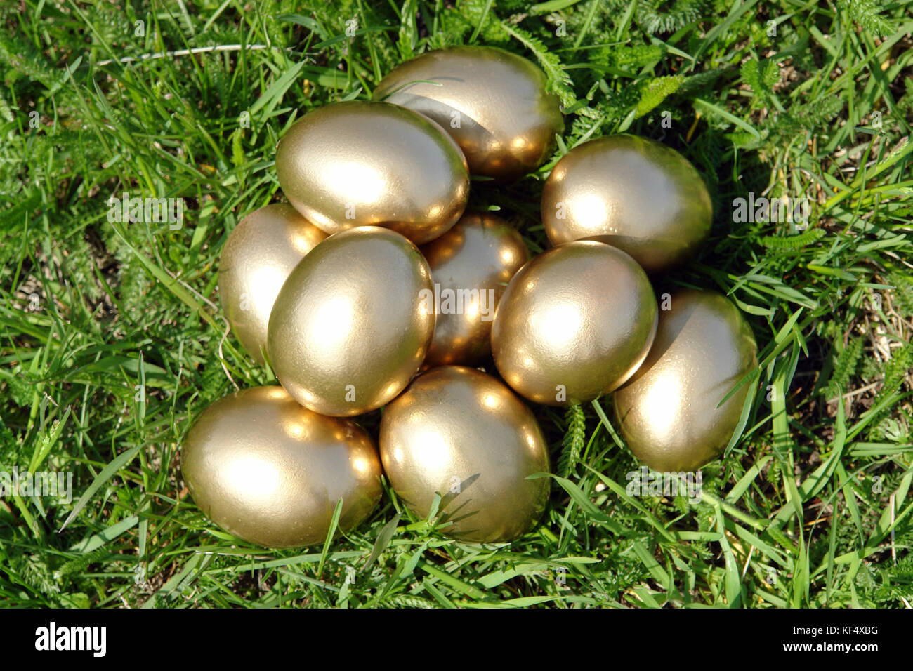 Золотые яйца 2. Золотое яйцо. Золотые яйца на Пасху. Яйцо куриное золотое. Курица с золотыми яйцами.