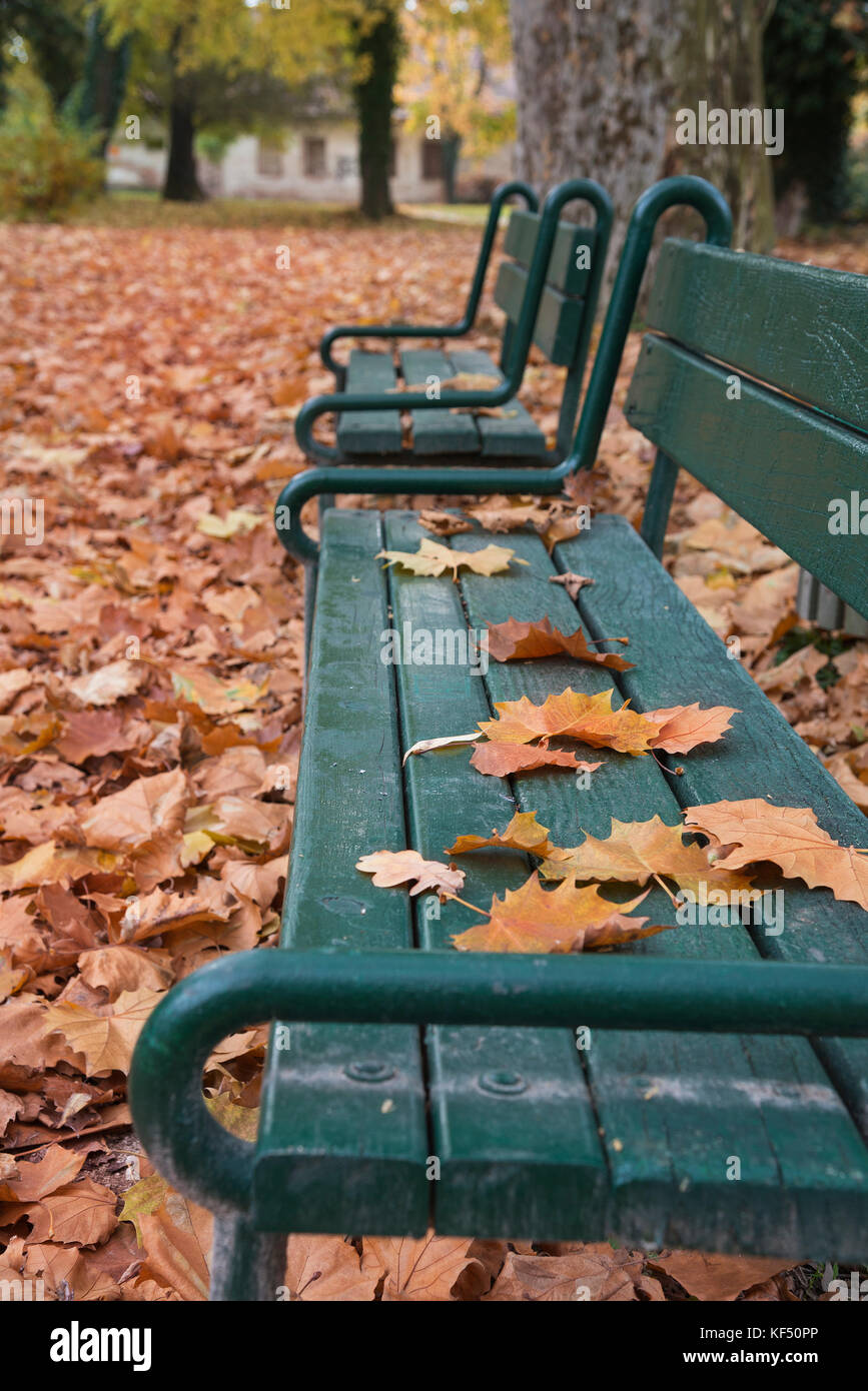 Two benches in line in park in fall with red foliage Stock Photo - Alamy