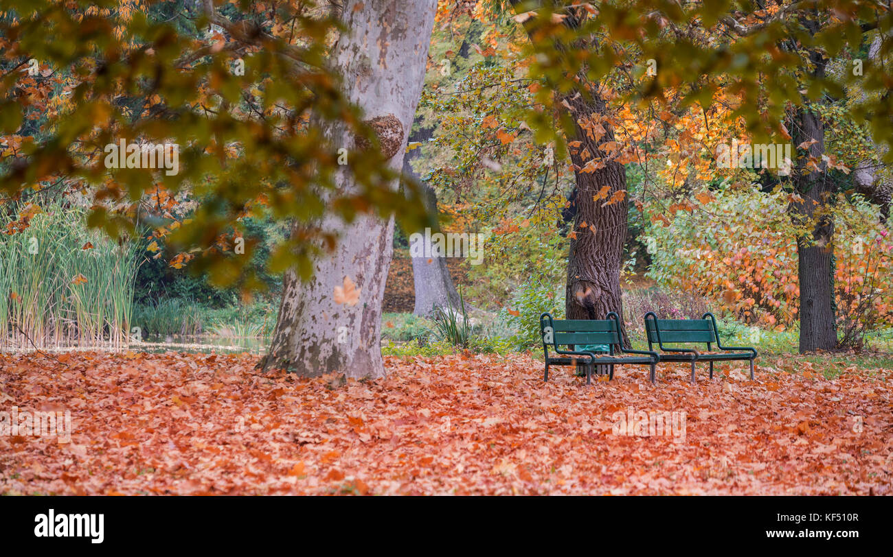Two benches in the park in fall with red foliage Stock Photo - Alamy