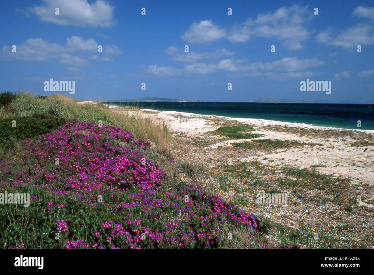 Sardinia north coast. Fiume Santo beach in spring Stock Photo