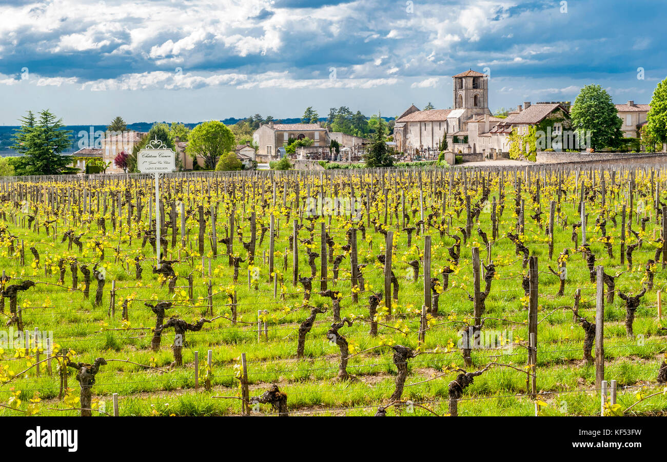 France, Gironde, St Emilion, St MartindeMazerat church and Chateau