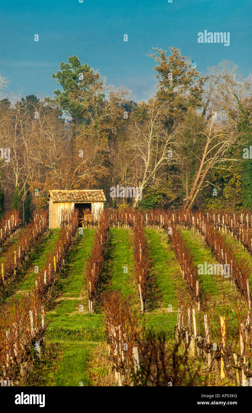Listrac medoc hires stock photography and images Alamy