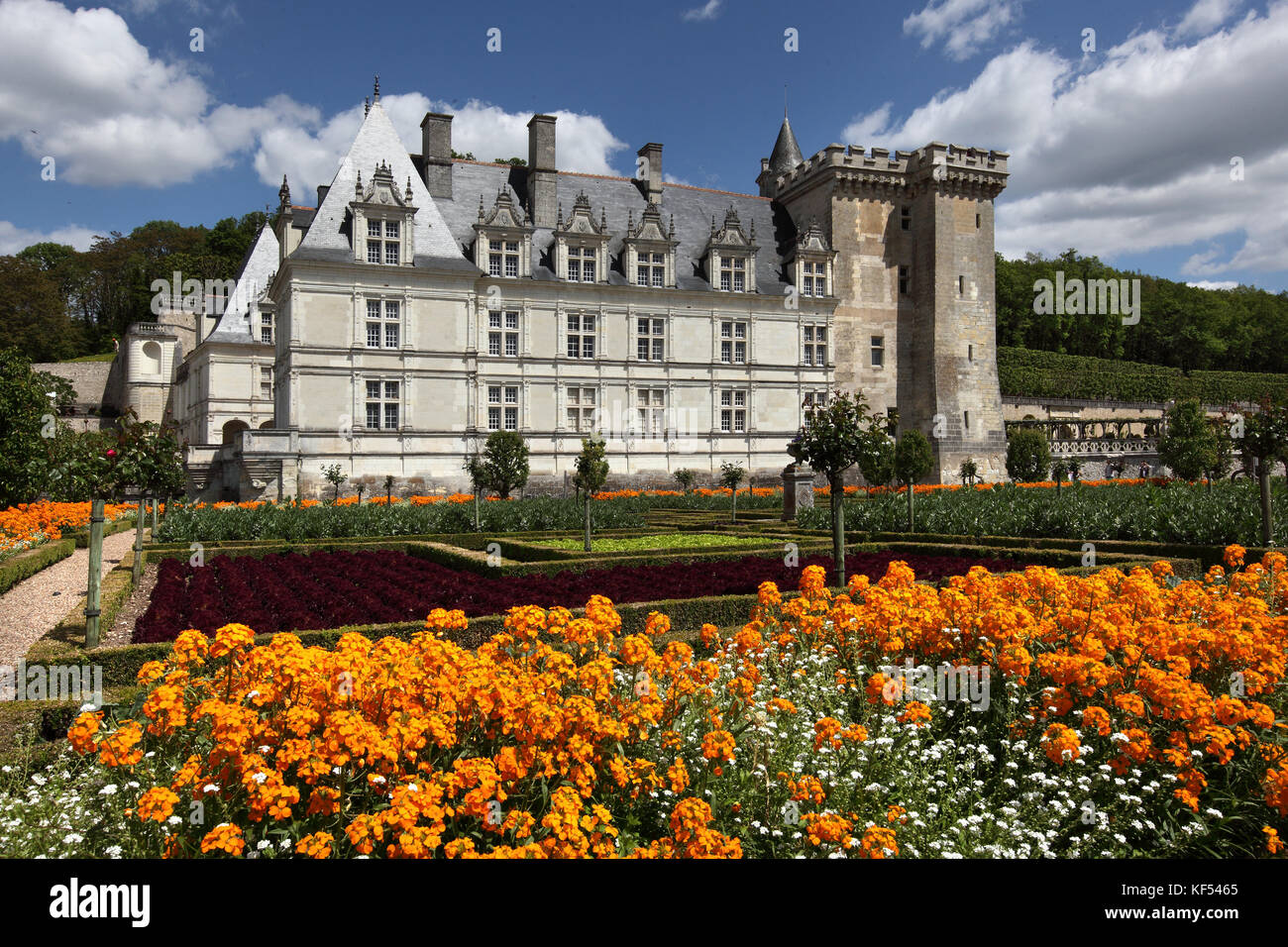 France, Center France, Touraine, Chateau de Villandry and its vegetable garden, with square flower gardens. Occidental facade and blue sky. Stock Photo