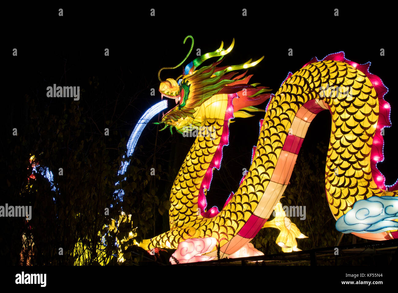 Chinese Dragon Lantern at the Magical Lantern Festival,Roundhay Park