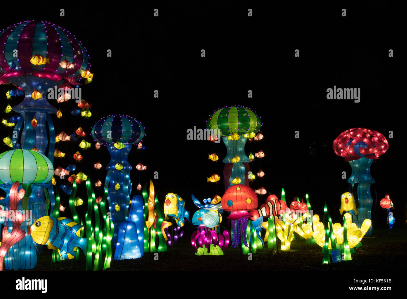 Chinese Lanterns,Magical Lantern Festival,Roundhay Park Leeds,West  Yorkshire,England,UK Stock Photo - Alamy