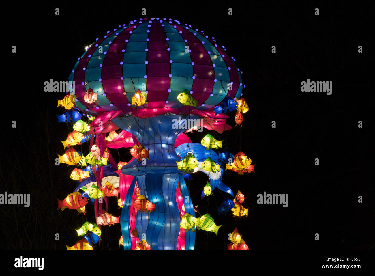 Fish illuminations at the Magical Lantern Festival,Roundhay Park Leeds,West Yorkshire,England,UK