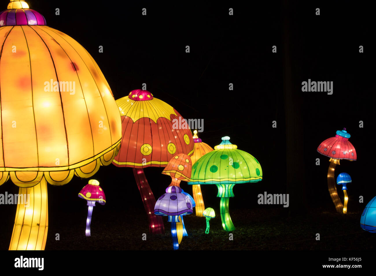 The magical lantern festival yorkshire roundhay park hires stock photography and images Alamy