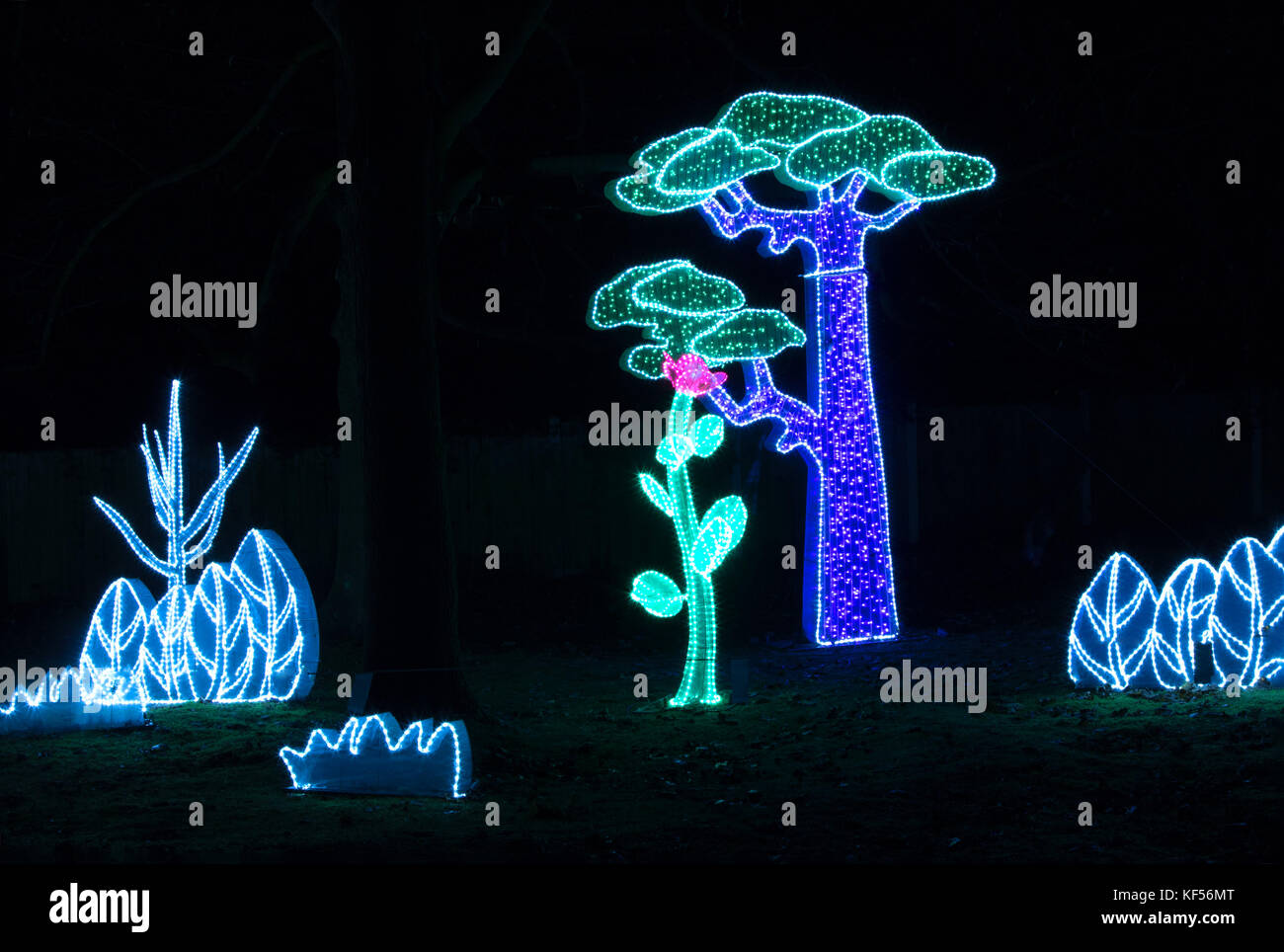 Chinese Tree Lanterns at the Magical Lantern Festival,Roundhay Park