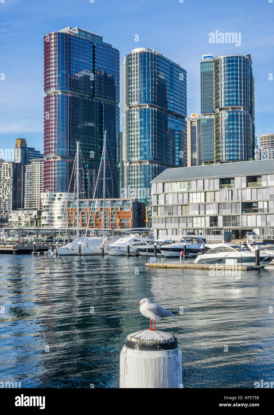 Australia, New South Wales, Sydney, Pyrmont Bay, view of Sydney Wharf and the Barangaroo International Towers Stock Photo