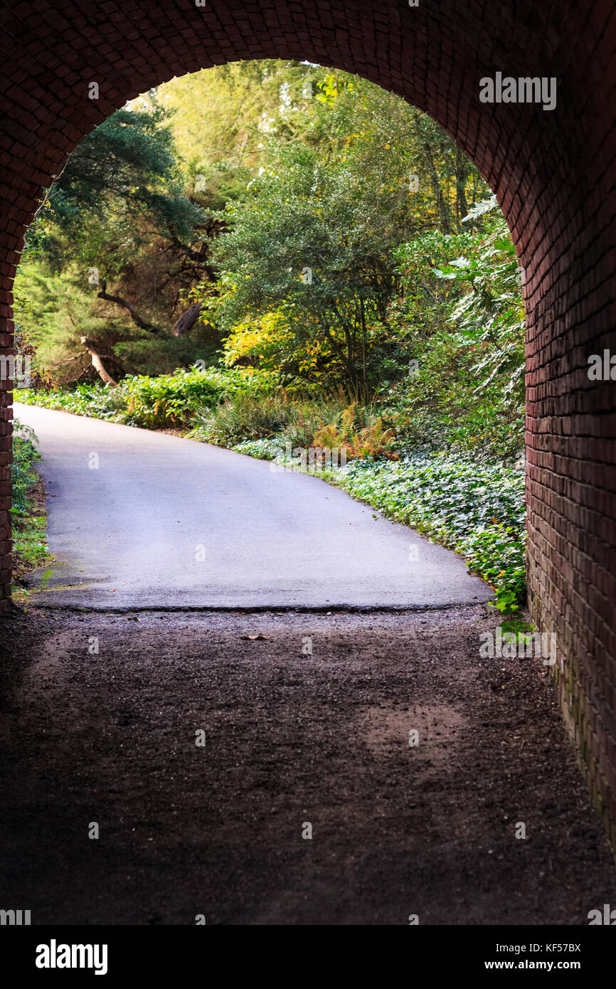 The Biltmore Estate's signature red brick tunnel creates a rustic touch