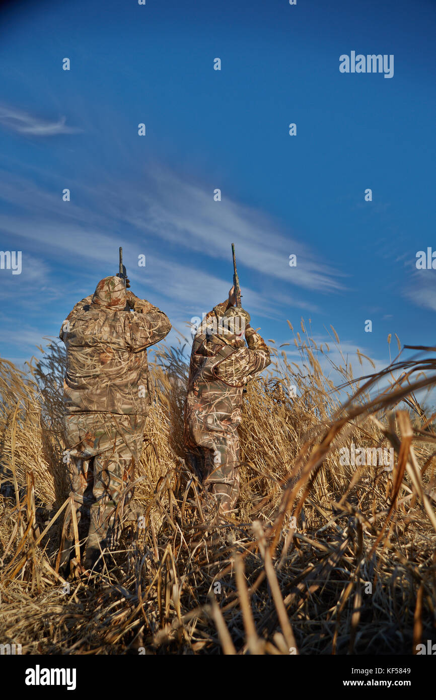 Two duck hunters shooting with rifle into sky during waterfowl hunting ...