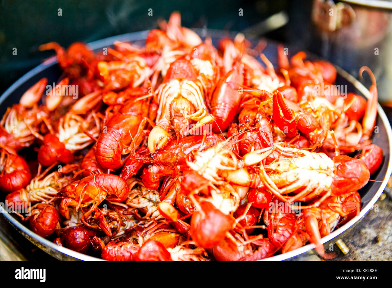 Pan of freshly cooked crawdads, freshwater lobster, crayfish or crawfish ready for eating Stock Photo