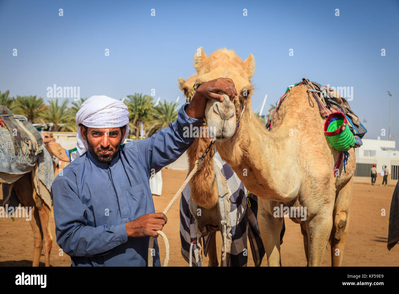 Dubai, United Arab Emirates - March 25, 2016: Camel handler with his animal at Dubai Camel Racing Club Stock Photo
