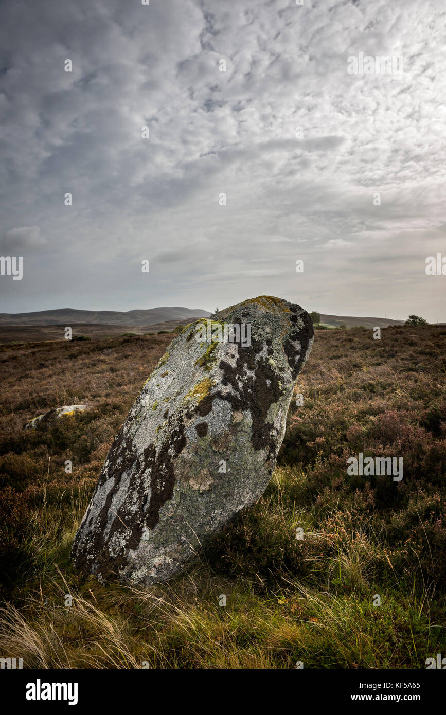 Rogart hi-res stock photography and images - Alamy