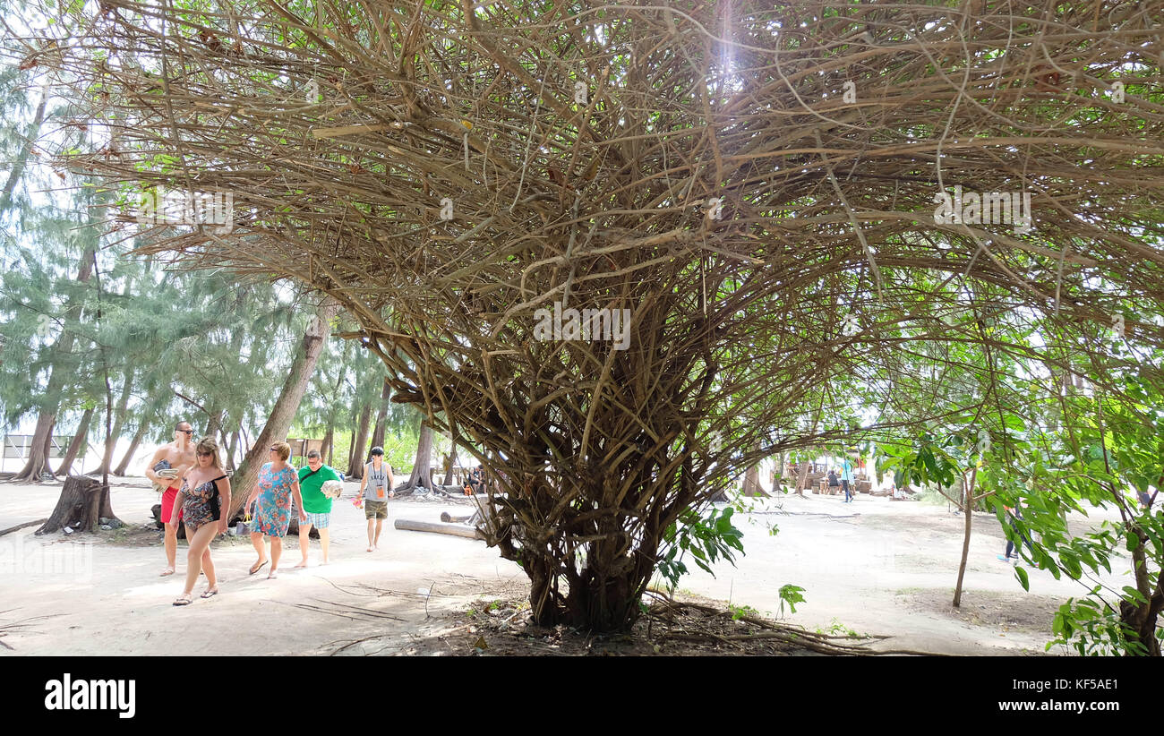Bamboo island, koh phiphi tour. Stock Photo