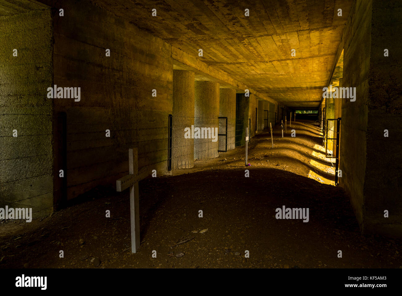 The Douaumont ossuary, national cemetery and memorial site, including Trench du Bayonet, France. Stock Photo