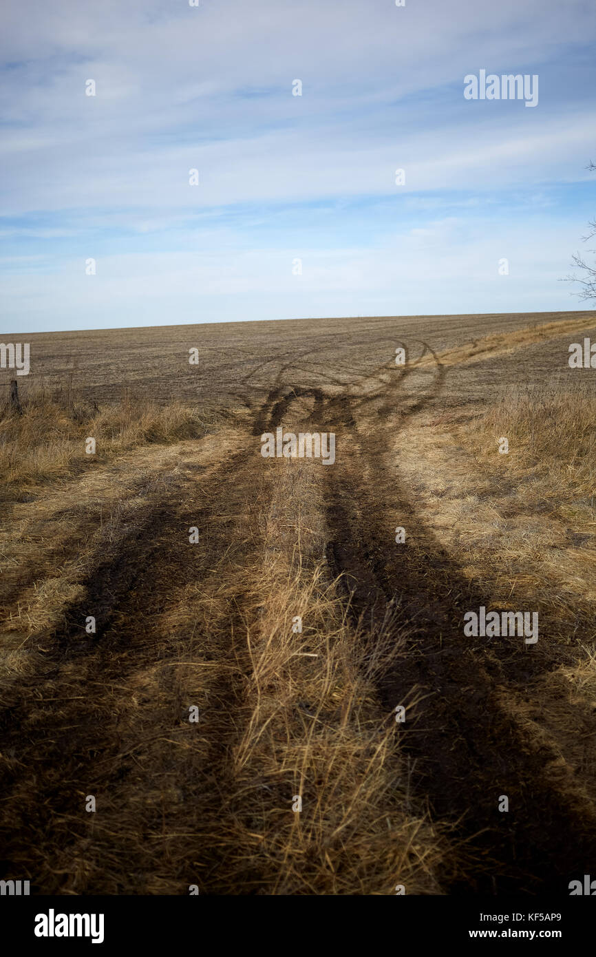 Narrow farm track through dry grassland with tyre trails branching off